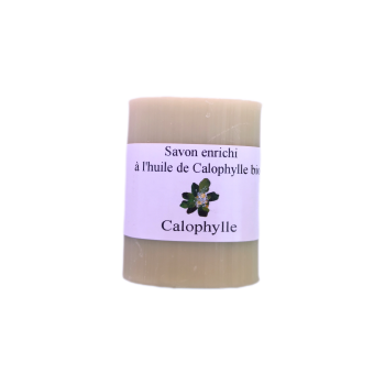 Savon enrichi en Calophylle